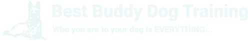 Best Buddy Dog Training Logo