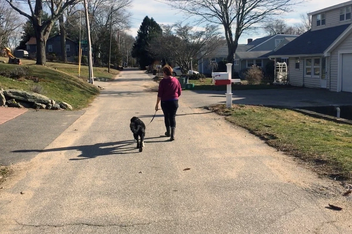 How to Stop Dog Pulling on Leash for Good