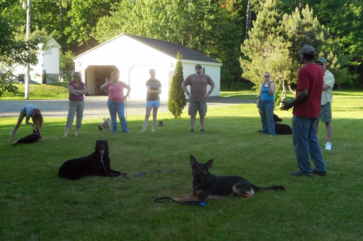 Shawn Hines demonstrating leash technique with a dog during an in-home training session