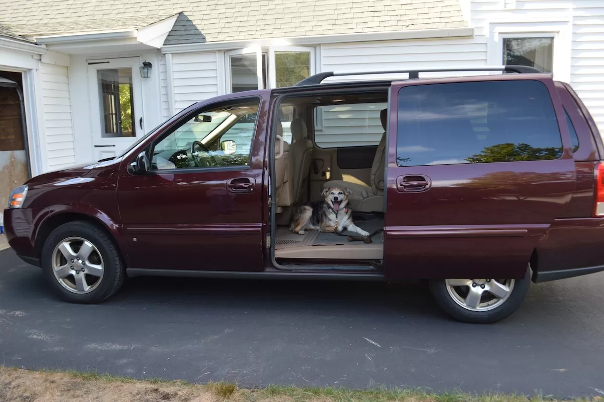 Dog waiting in a van with an open door during a dog training session in Narragansett, Rhode Island
