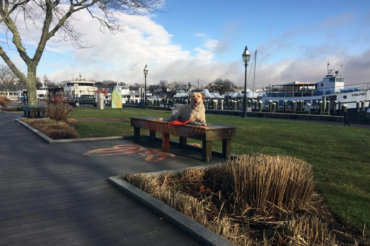 Cross-country Consultation