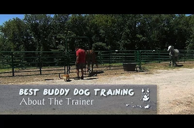 About Shawn the Dog Trainer