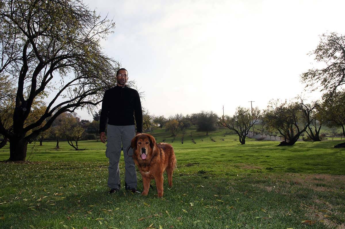 Shawn and Tibetan Mastiff in Sacramento, California