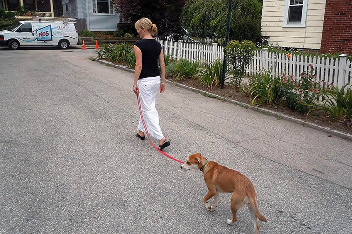 Owner and dog practicing the follow command outside