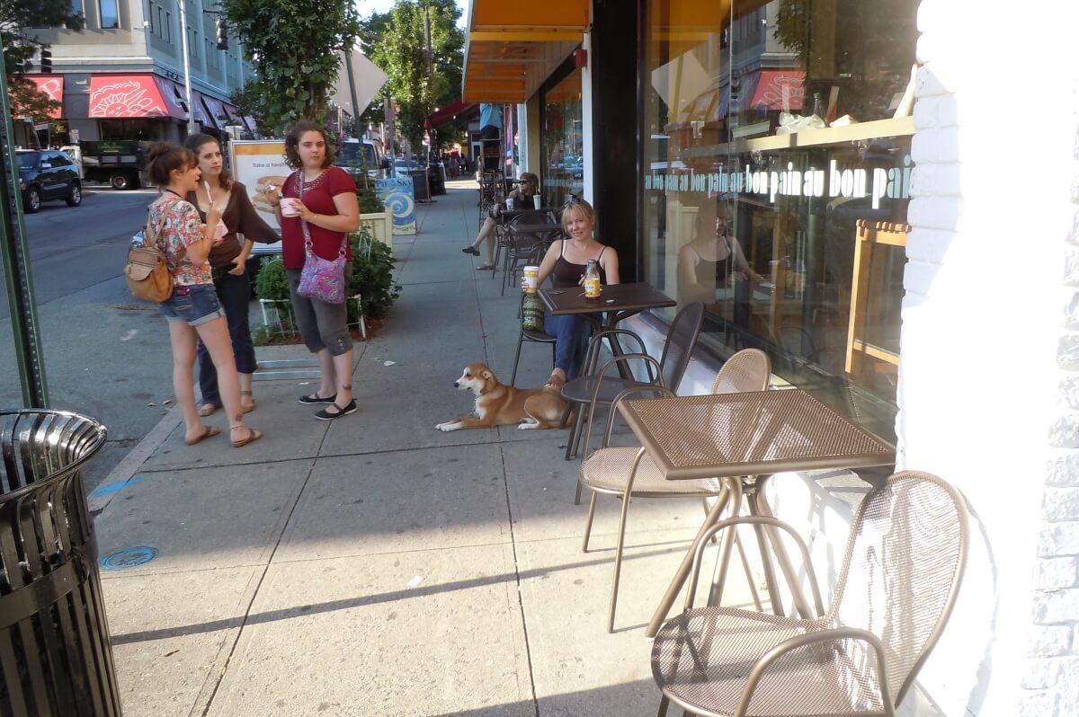 Best in-home dog obedience training in Rhode Island and New England.