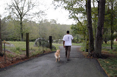 Shawn and Golden Retriever Toby working off leash at Best Buddy Dog Training